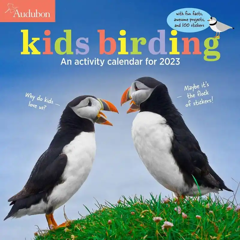 2023 Kids' Birding Activity Wall Calendar Today Only