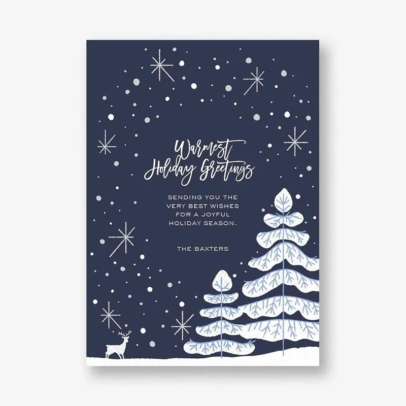 Snow Cap Holiday Card Price Cut