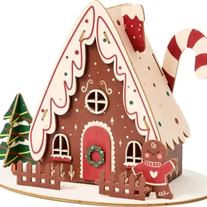 Big Sale Gingerbread DIY Kit
